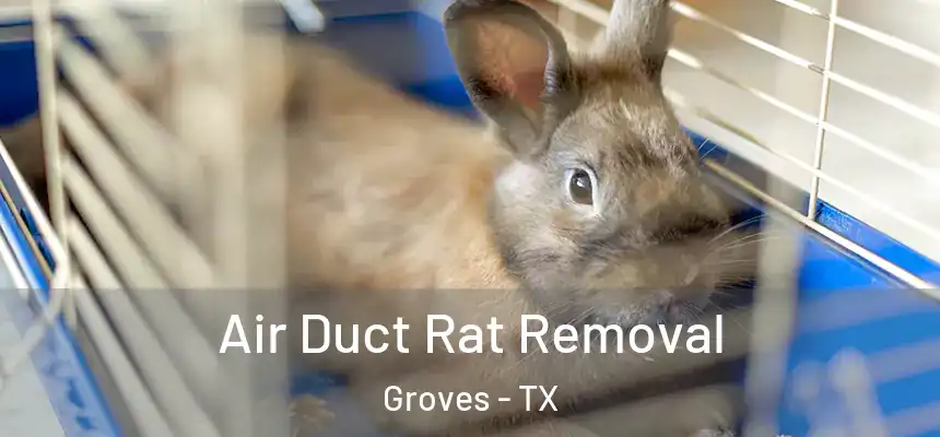  Air Duct Rat Removal Groves - TX