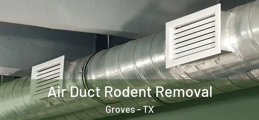  Air Duct Rodent Removal Groves - TX