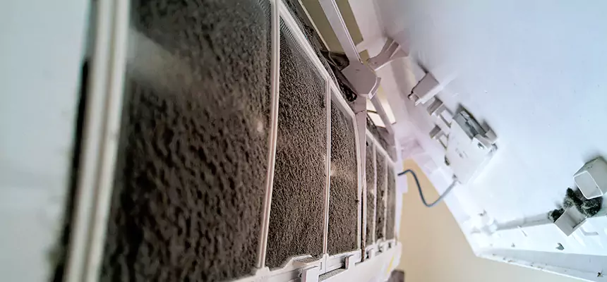 Preventive Air Duct Bacteria Removal in Groves