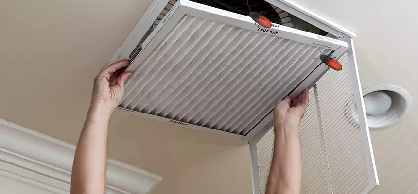 Preventive Cockroach-Proofing for Ducts in Groves