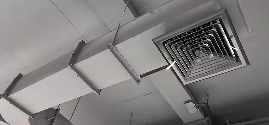 Restorative Allergy Relief Vent Cleaning – Coil, Blower & Housing Detail in Groves