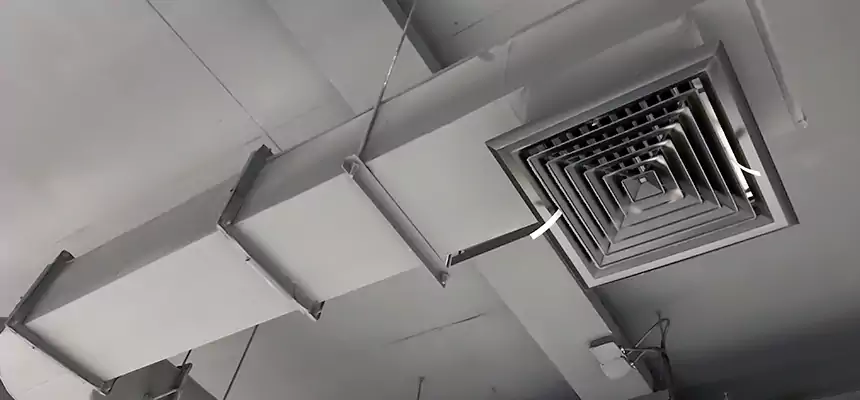 Our Pest Removal From Ducts Services in Groves, TX