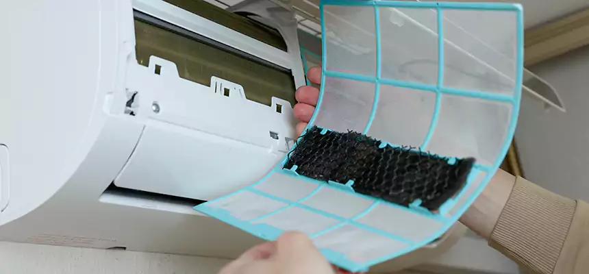 Gentle Ductwork Odor-Control Pet Dander Duct Cleaning in Groves, TX