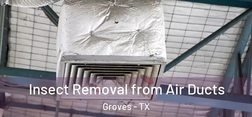  Insect Removal from Air Ducts Groves - TX