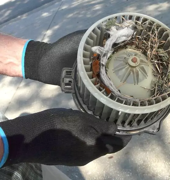 About Air Duct Mice Removal in Groves, TX