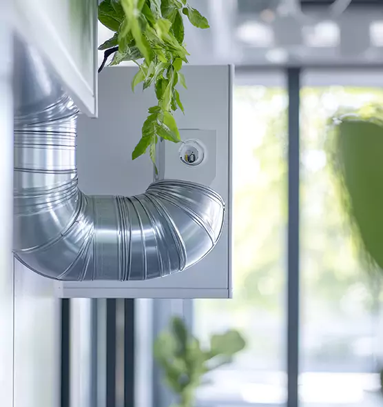 Professional Eco-Safe Dryer Vent Cleaning in Groves, TX