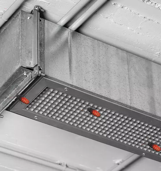 Affordable Insect Removal from Air Ducts in Groves, TX