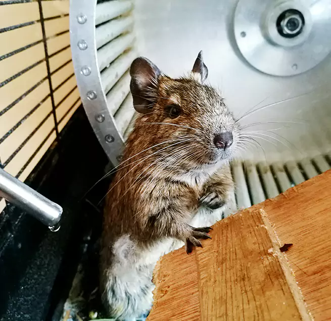 Why Homeowners & Businesses Trust Us Groves, TX