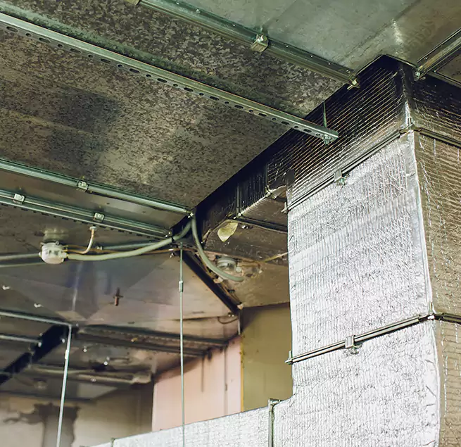 Why Homeowners & Businesses Trust Us in Groves, TX?